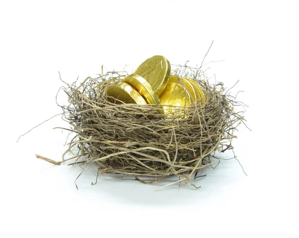 Kuşlar yuva paralar ile