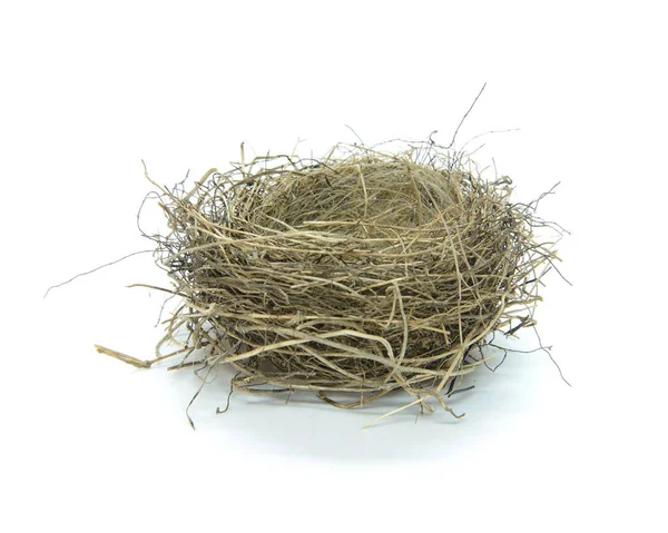 Um ninho de pássaros vazio — Fotografia de Stock