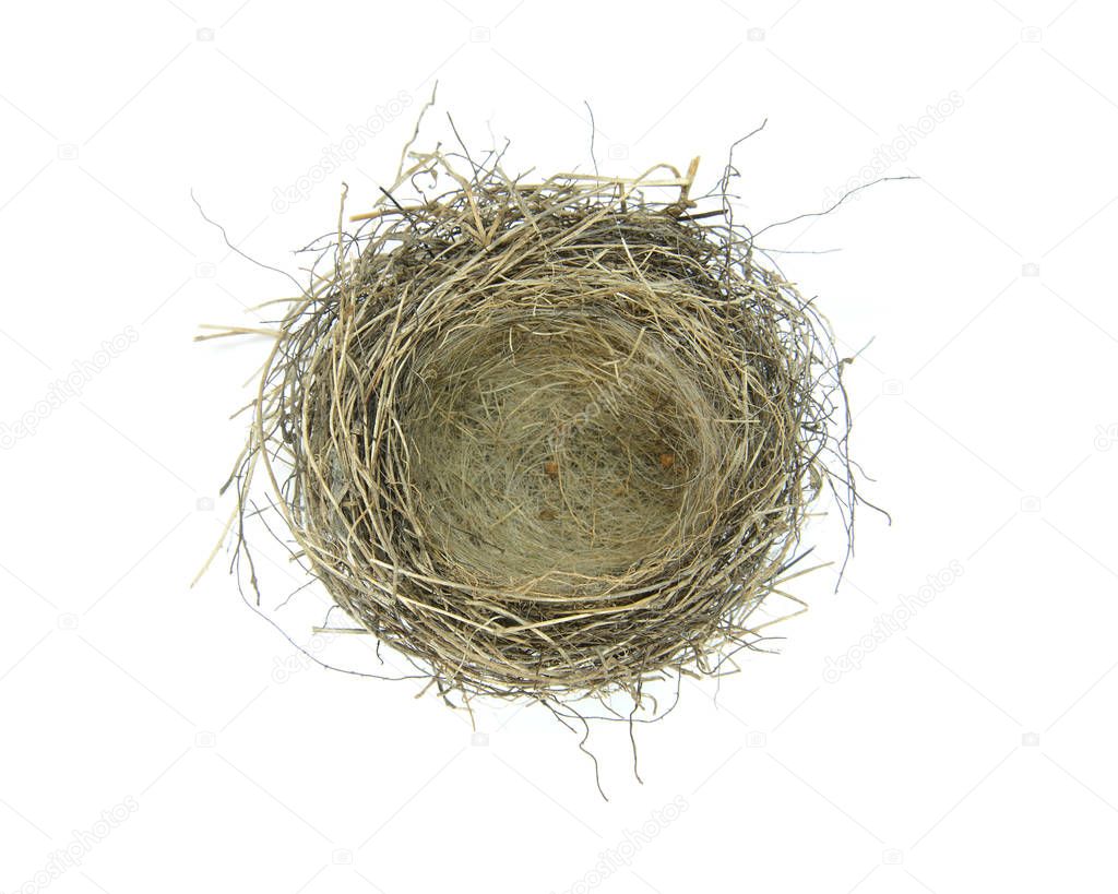 An empty Birds nest