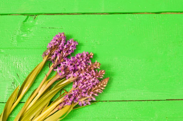 Üzümlü purpurea