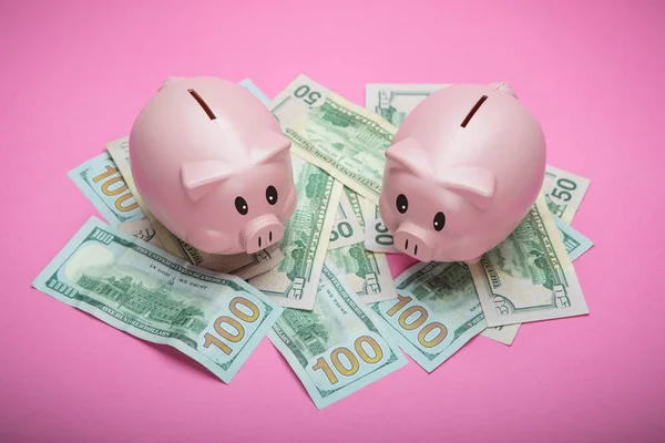Piggy Bank en het geld aan roze pastel achtergrond — Stockfoto