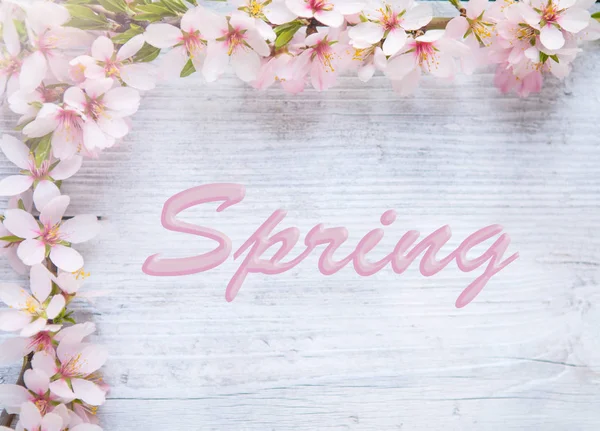 Frühlingsrand Hintergrund mit weißer Blüte — Stockfoto