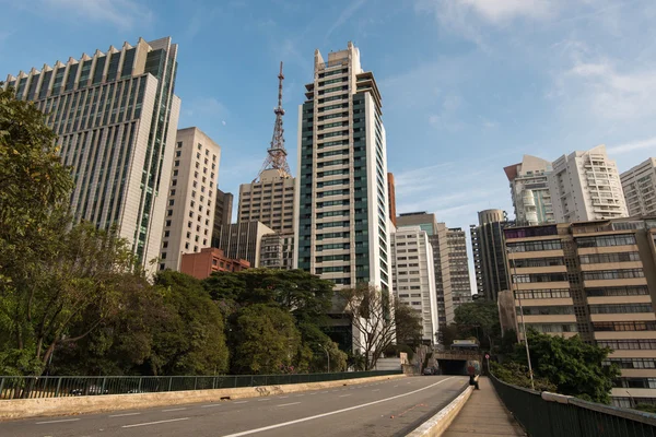 Вид на місто Сан-Паулу — стокове фото