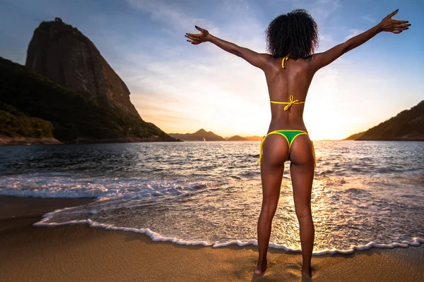 Sexy brasileña en bikini en la playa Imagen De Stock