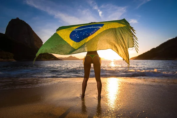 Chica con bandera brasileña en la playa Imagen De Stock
