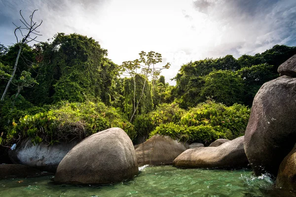 Tropical Coast of Brazil — Stock Photo, Image