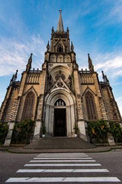 Cathedral St Peter Alcantara, Brezilya