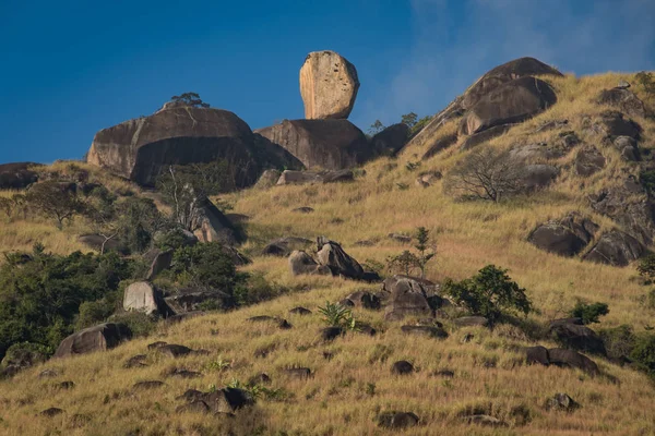 Hills manzara güneş ışığı altında