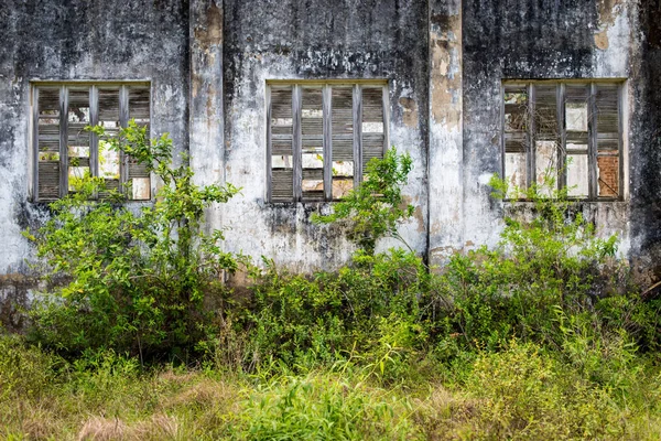Mur Bâtiment Abandonné Avec Grandes Fenêtres Bois Herbe Haute Des — Photo