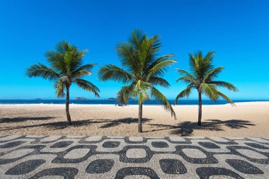 Ünlü Ipanema mozaik kaldırım ile palmiye ağaçlarında Beach, Rio de Janeiro, Brezilya için