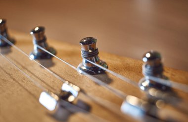 Elektro gitar başı, başlık yakın. Müzik teli enstrümanı.