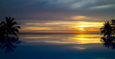 pirinç Teras Vietnam