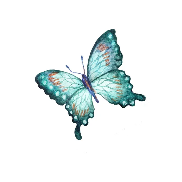 Watercolor hand-drawn Butterflie — Stockfoto