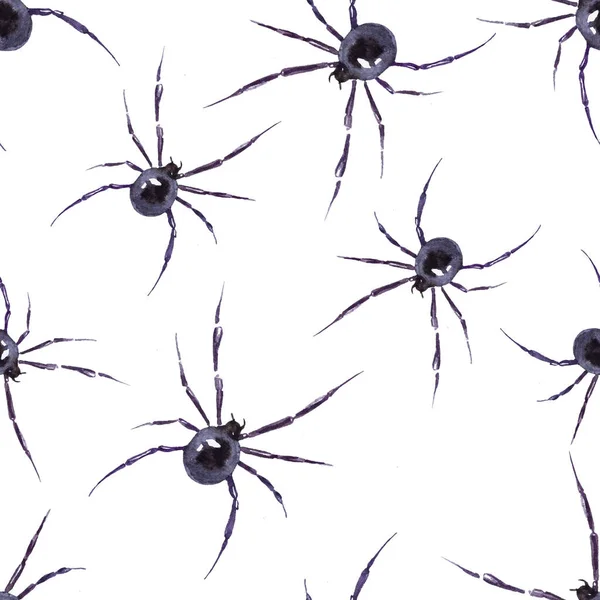 흰 배경에 있는 물감없는 무늬 거미 — 스톡 사진