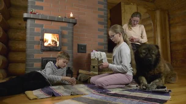 犬は母親の足元に寝そべって疲れていたので 子供たちと一緒にトランプをすることにした 木の家の暖かいストーブでは 誰もが長い冬の夜に好きなものを見つけるでしょう — ストック動画