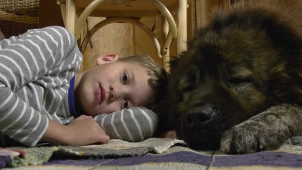 Een Jongen Een Blanke Herder Liggen Van Top Tot Teen — Stockvideo