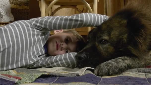 Pes Položí Hlavu Vedle Ležícího Chlapce Začne Hladit Chlapec Pruhovaném — Stock video