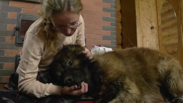 Een Vrouw Streelde Een Grote Kaukasische Herder Wiens Hoofd Haar — Stockvideo
