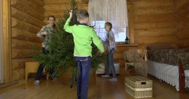 母亲带着两个孩子打扮圣诞树过节 在村舍的内部 一个有孩子的母亲 一个女孩和一个男孩友好地拿出圣诞玩具 挂在一棵绿色蓬松的树上 — 图库视频影像