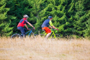 Bisikletli saman ve çam ağaçlarının yanında dağ yolundan geçiyor.