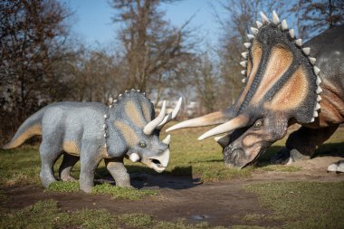 Lubin, Polonya - 8 Şubat 2020 - Park Wroclawski 'deki dinozor triceratops' un gerçekçi modeli. Park, Polonya 'nın bu bölgesindeki çocuklar için iyi bilinen bir turizm merkezi..