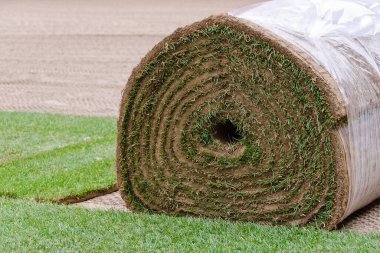 Stadyumda çimen ruloları serildi.