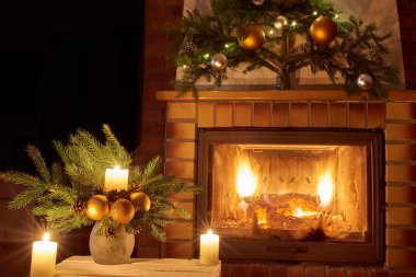 Ateşböceğinin önünde Noel çiçeği süslemesi.