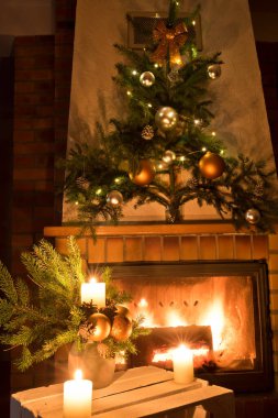 Ateşböceğinin önünde Noel çiçeği süslemesi.