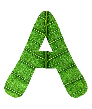 Yaprak yeşil doku alfabesi