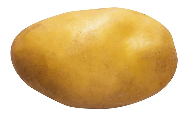 Isoleren van aardappel op witte achtergrond — Stockfoto