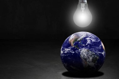 Ekoloji kavramı arka plan