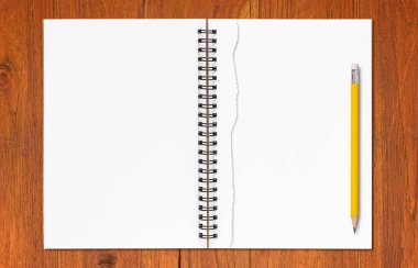 Yırtık kağıt ve sarı kalem