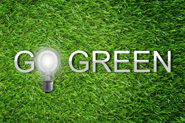 Ekoloji kavramı arka plan