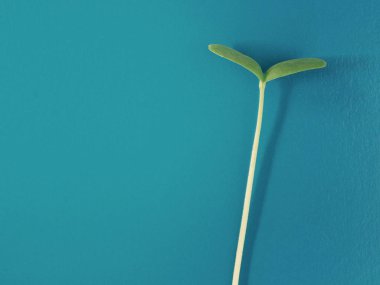 İş Büyüme Konsepti