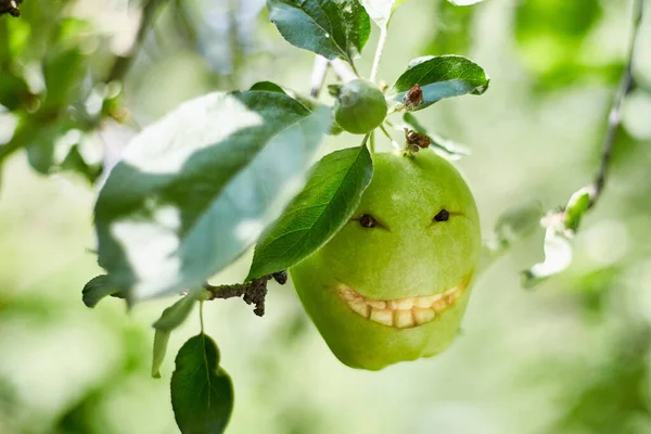 Funny fruit character Green Apple with eyes smiling. Healthy fruits. concept of good mood