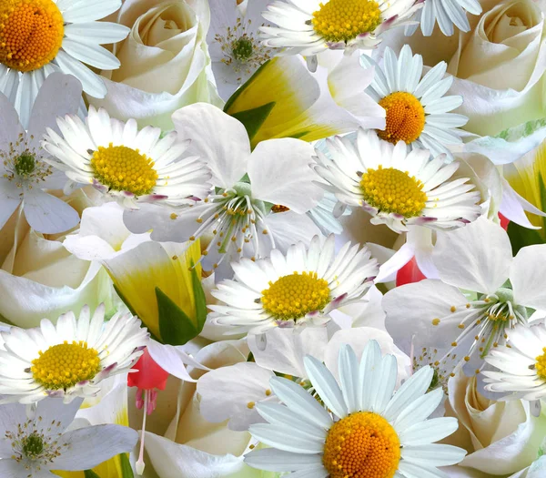 White flowers background — Stock Photo, Image