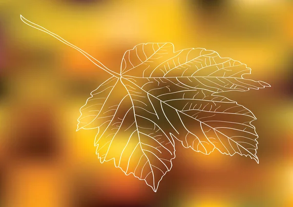 Feuille d'érable vectorielle sur fond bokeh — Image vectorielle