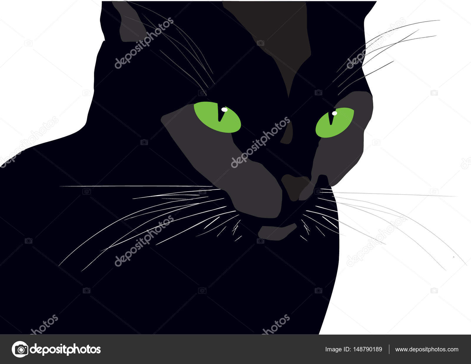black cat pop it