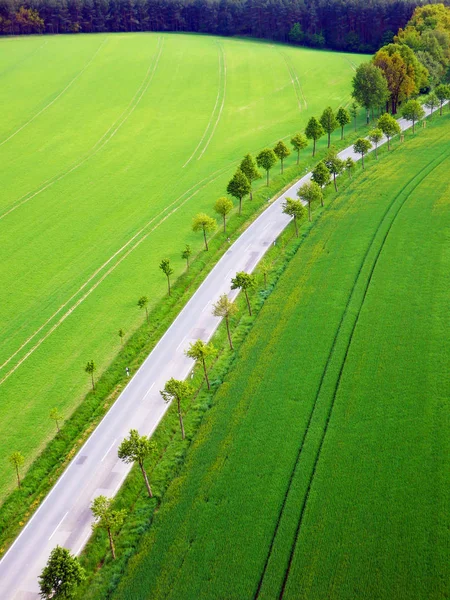 Όμορφη Ύπαιθρο Από Αεροφωτογραφία Άνοιξη Φωτογραφία Των Πράσινων Τομέων Δέντρα — Φωτογραφία Αρχείου