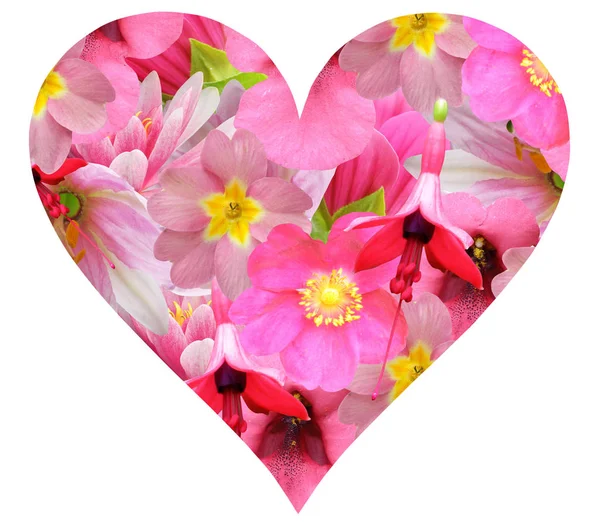 Icona cuore a colori di fiori isolati su sfondo bianco — Foto Stock