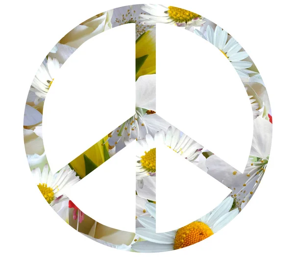 Icono de la paz de las flores aisladas sobre fondo blanco —  Fotos de Stock
