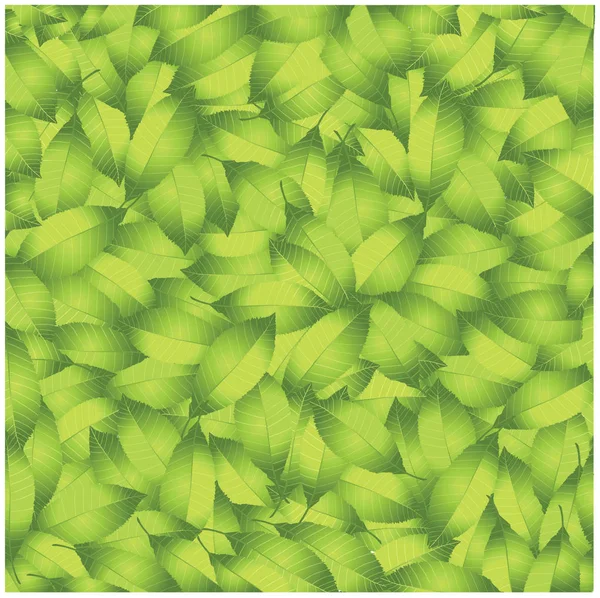 Realistic vector green leaves background — Stock Vector