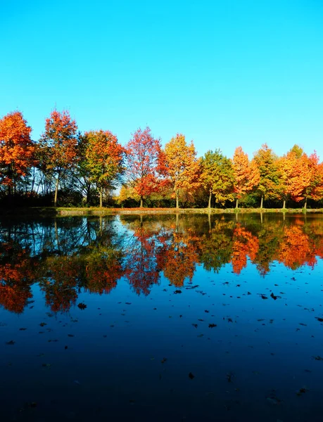 Fotografia a colori di riflessione vicolo autunnale sul lago — Foto Stock