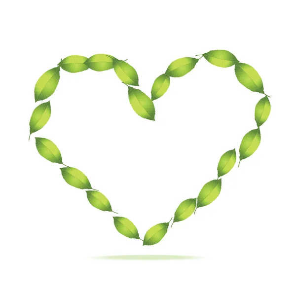 Bright green leaves heart silhouette isolated on white background. — Stock Vector
