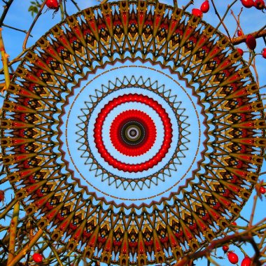 Soyut kırmızı kalça çilek ve mavi gökyüzü mandala. Daire mandala arka planını renklendirin. Trendy simetrik doğal mandala tasarım.          