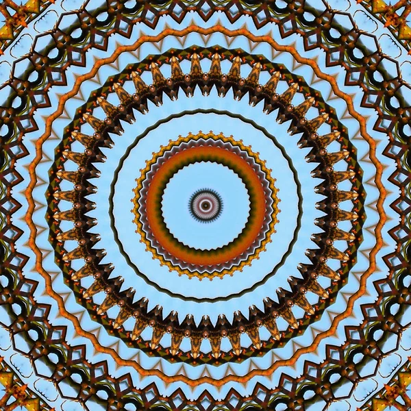 Abstrato Fundo Mandala Colorido Círculo Moda Mandala Natural Plantas Céu — Fotografia de Stock