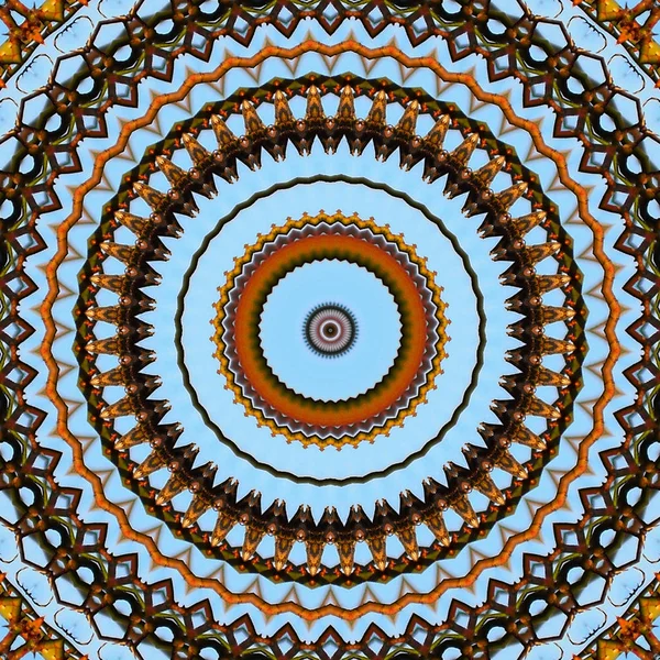 Résumé Fond Mandala Coloré Cercle Tendance Mandala Naturel Plantes Ciel — Photo