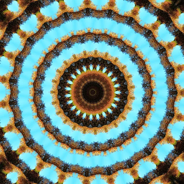Abstract Circle Mandala Design Trendy Natural Mandala Background Plants Blue — Stock Photo, Image