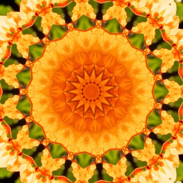 Abstrato Mandala Orgânica Fundo Mandala Círculo Simétrico — Fotografia de Stock