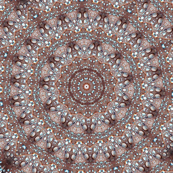 Fondo Mandala Natural Abstracto Hoja Roble Con Gotas Lluvia Hermoso — Foto de Stock